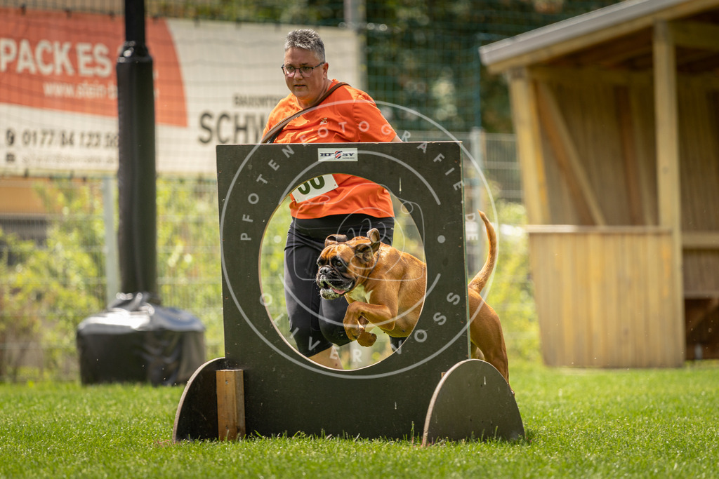 Pfotenfotografie_DV3A3582 | Hundefotografie, Tierfotograf, Pfotenfotografie, Fotoshooting Hund, Hunde Portrait, Hundesport, Hundeportraits, Heideshooting, Hunde, Sportfotograf, Hundefotograf, Turnierhundsport, THS,  - Realisiert mit Pictrs.com