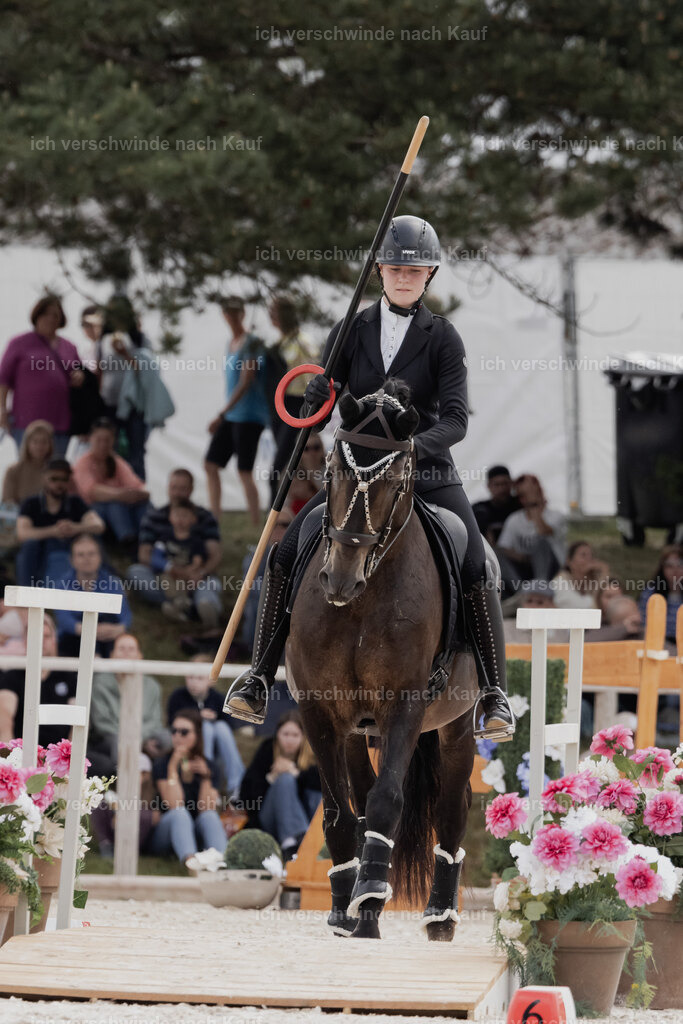 WE_ST_Stoib_309_PI2025_968 | Pferd International München 2025