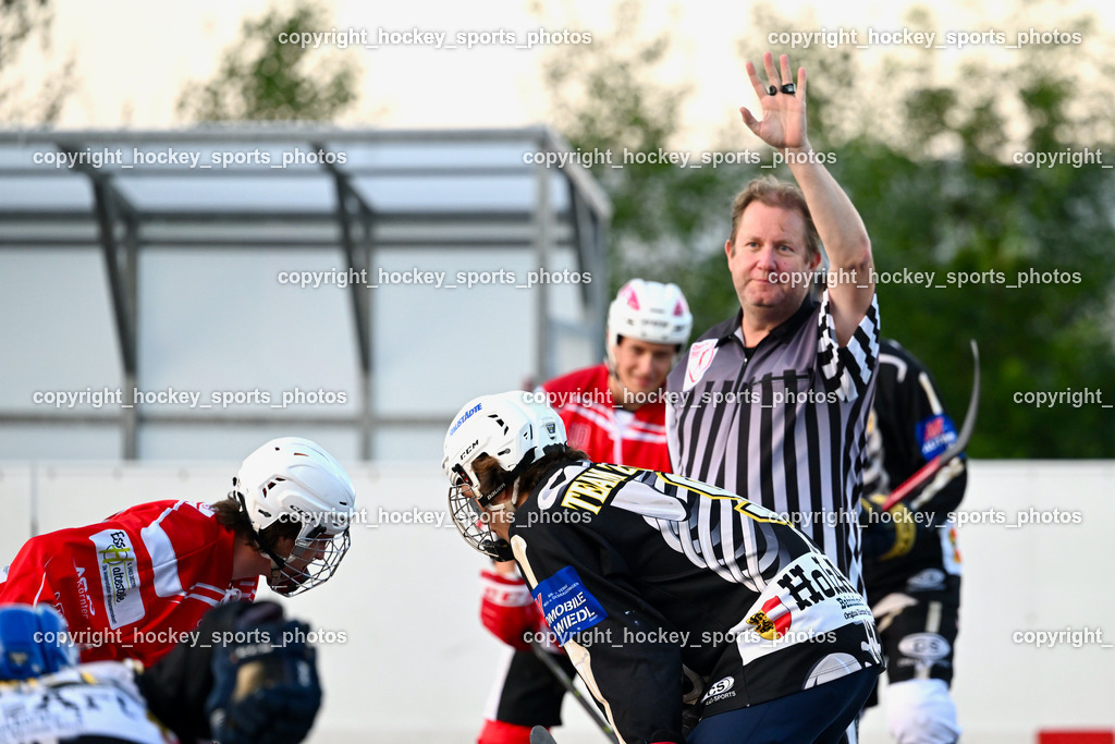 Team Zehenthof vs. HSC Eagles 7.7.2023 | Hafner Gernot Referee