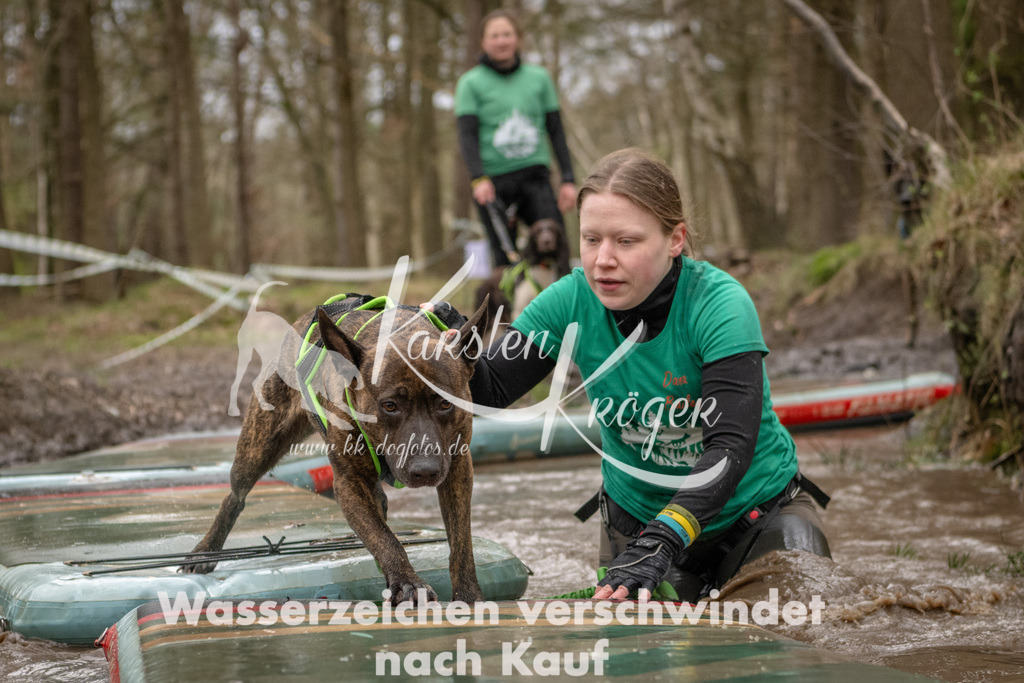 1140_ZZ94123 | kk-dogfotos