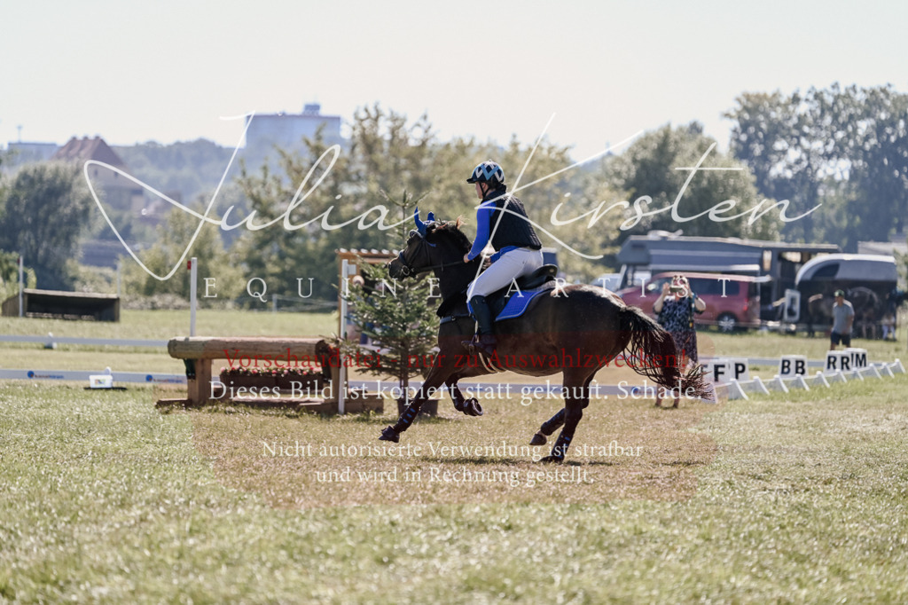 DSC_3131 | Pferde- und Turnierfotografie in Westsachsen. Pferdeportraits, Auftragszeichnungen und intuitive Kunst.