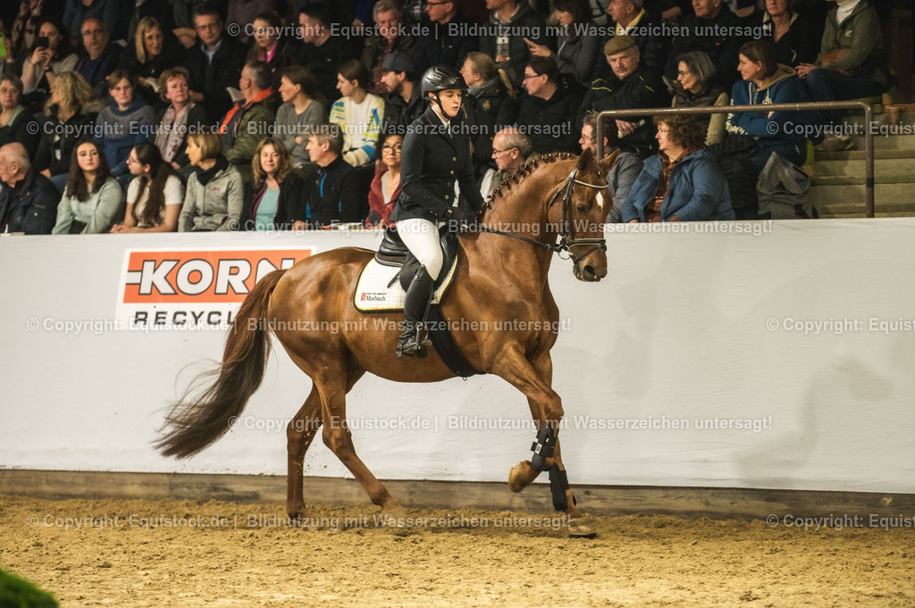 20240302_Hengstvorstellung_Marbach_TOMsPiC_1353 | equistock