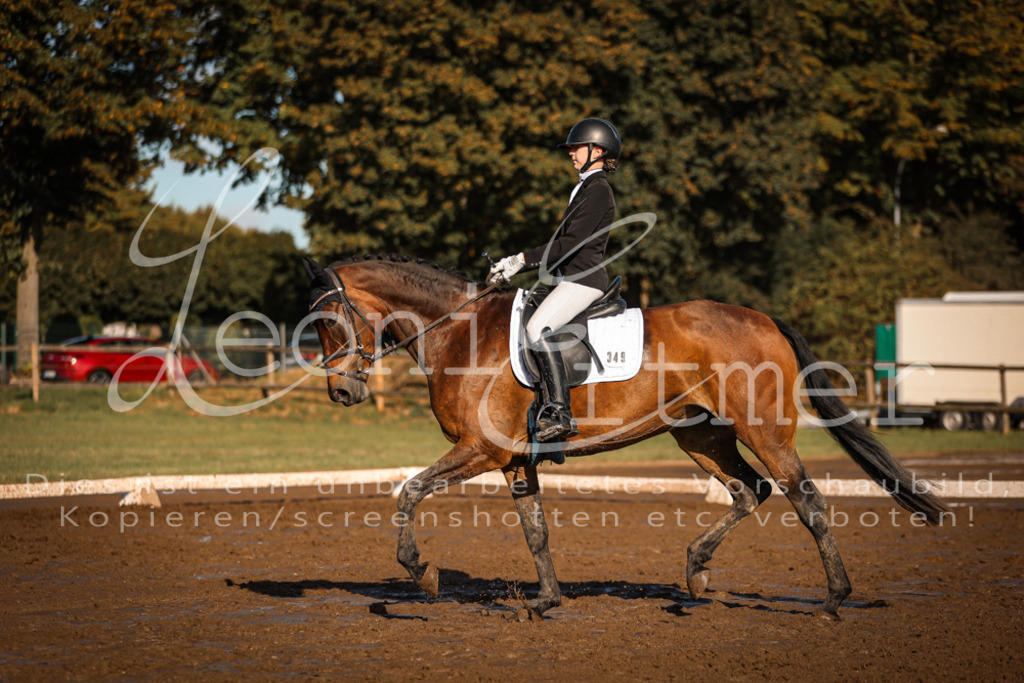 13.SoDrA100433 | Leoni Ertmer Photography - Realisiert mit Pictrs.com