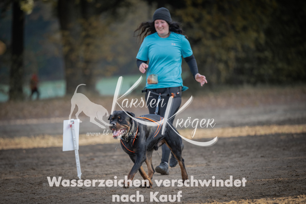 0948_ZZ94937 | kk-dogfotos