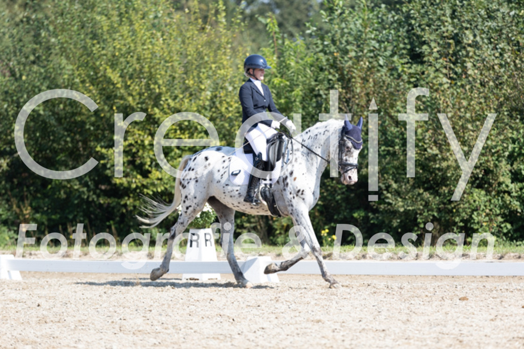 IMG_4617 | Creatify Fotografie