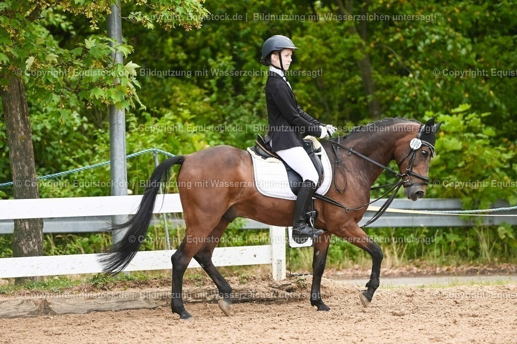 20230716_10-2_Reiter-WB Schritt - Trab - Galopp_0097 | equistock
