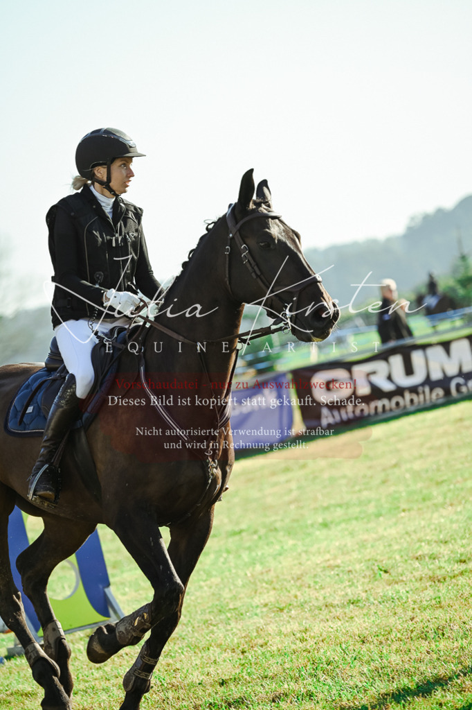 DSC_4328 | Pferde- und Turnierfotografie in Westsachsen. Pferdeportraits, Auftragszeichnungen und intuitive Kunst.