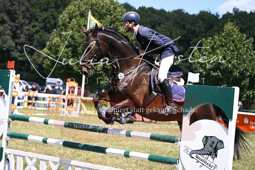 DSC_0165 | Pferde- und Turnierfotografie in Westsachsen. Pferdeportraits, Auftragszeichnungen und intuitive Kunst.