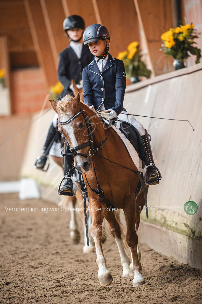 _MG_0725 | farbklaex.com