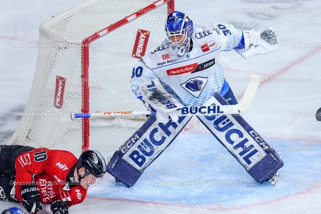 KEC04042501026 | 04.04.2025, Eishockey, DEL Play-offs, Kölner Haie - ERC Ingolstadt, Halbfinale Spiel 2, Lanxess-Arena Köln: Justin Schütz (Kölner Haie #10) LIEGT ENTTÄUSCHT NEBEN DEM tOR VON Torhüter Christian Heljanko