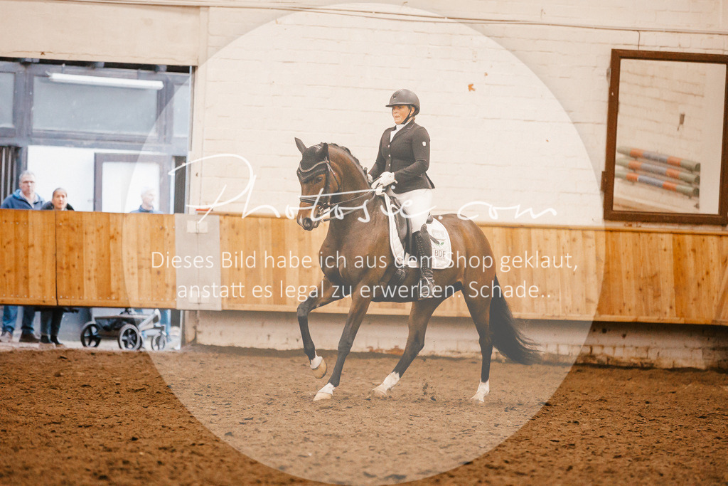 3I6A7013 | Stimmungsvolle Portraits und Reitsportfotografie im Ruhrgebiet und im Münsterland.

Pferdefotografie, Hundefotografie, Tierfotografie, Reportagen, Portraits von Tier und Mensch, Turnierfotografie in Bochum, Recklinghausen, Marl, Haltern am See, Dülmen.. - Realisiert mit Pictrs.com