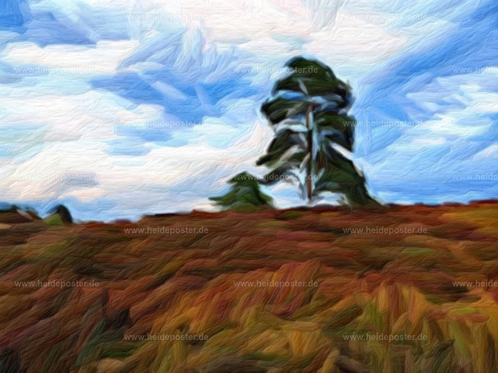 brushed_IMG_8184 | Poster aus der Lüneburger Heide - Realisiert mit Pictrs.com