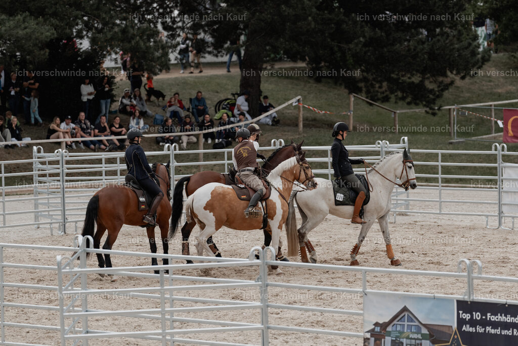 WE__Stoib_Rinder_PI2025_3177 | Pferd International München 2025