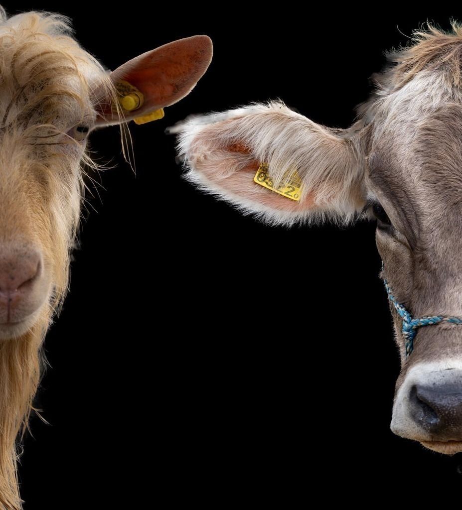 2023_10_04 A7V00140 | bridgeman - Realisiert mit Pictrs.com