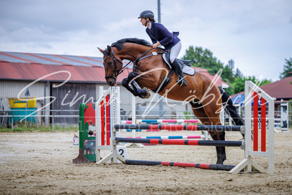20260705-_3LI3680 | Tierfotografie Pferde, Hunde, Katzen, Haustiere.
Turnierfotografie Reitturniere, Reiten, Springreiten, Dressur in Hanau, dem Main-Kinzig-Kreis und dem Rhein-Main- Gebiet um Frankfurt