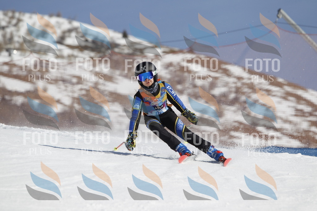 _U3G0085 | holidayphoto