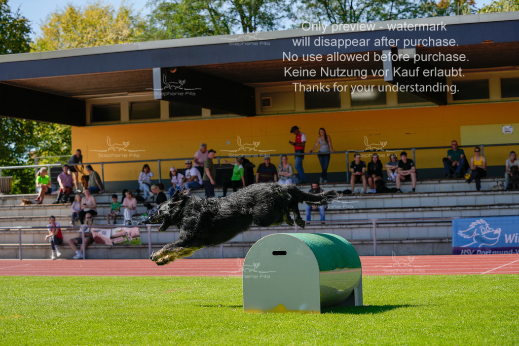 Sonntag_VK Hindernis (274 von 671) | stephaniefillaphotographie - Realisiert mit Pictrs.com
