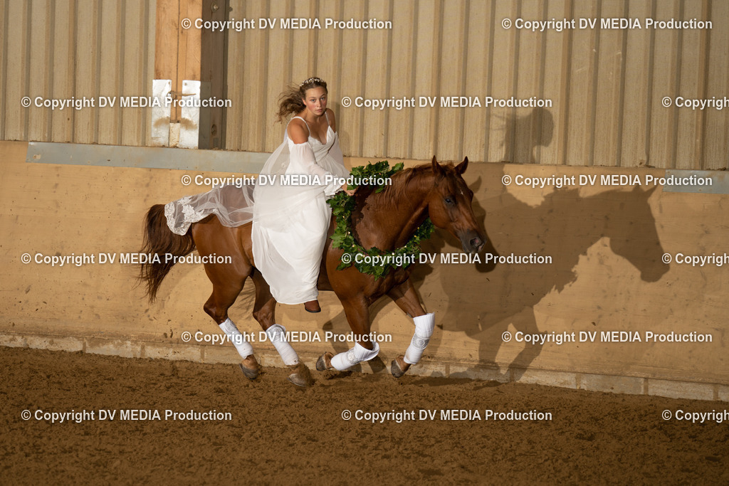 LAU01202 | dv-media-shop - Realisiert mit Pictrs.com