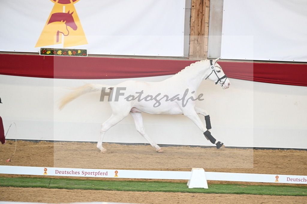 Kat.-Nr. 80 v. Topas_Sahlmann-Schmitz_2250709 | hf-fotografie - Realisiert mit Pictrs.com