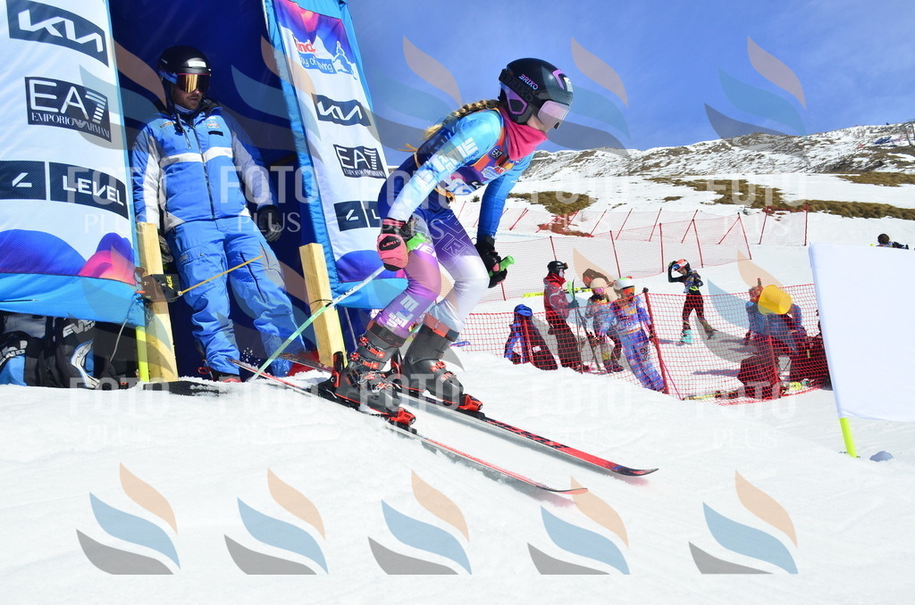 _ELE0805 | holidayphoto