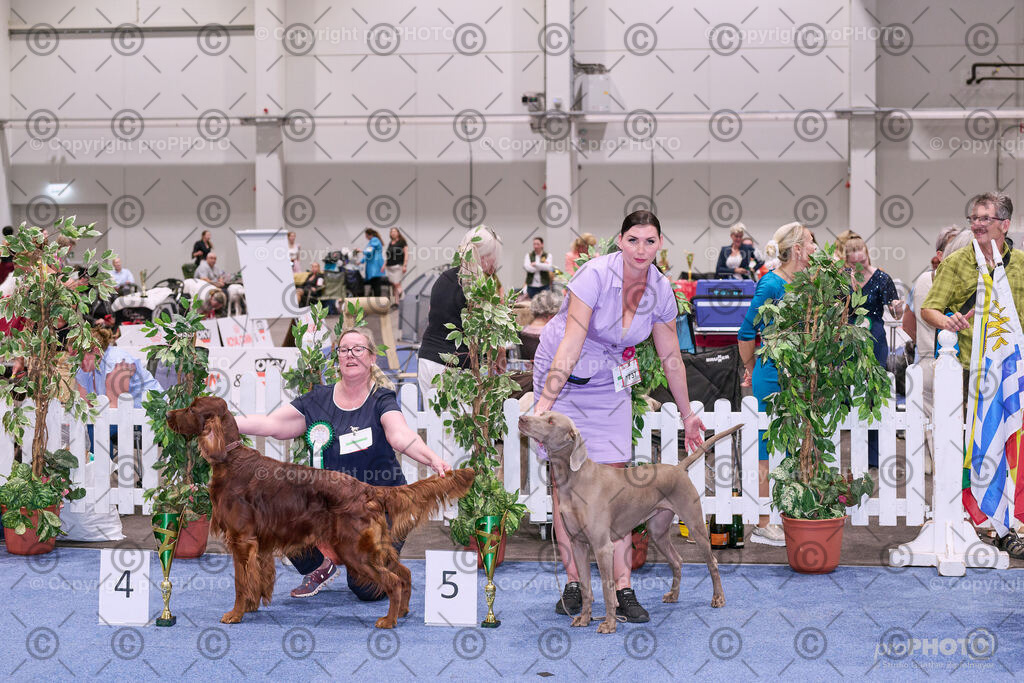 202406_ÖKV-IHA-Tulln24_NZ9_8716 | proPHOTO - Realisiert mit Pictrs.com