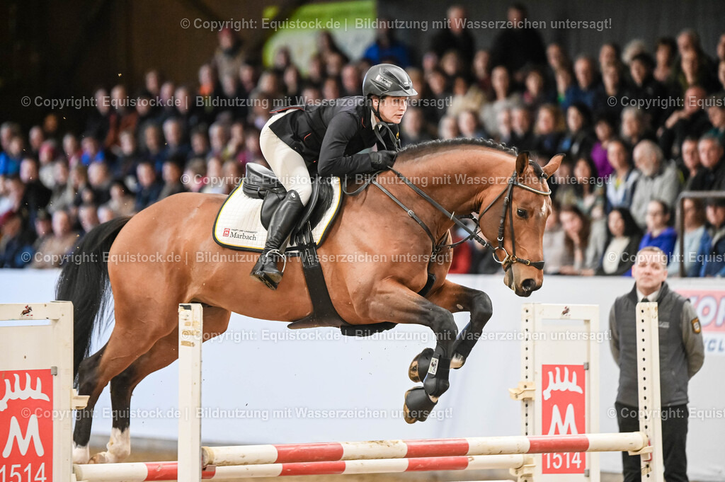 20260307_Hengstvorstellung-Marbach_0017 | equistock