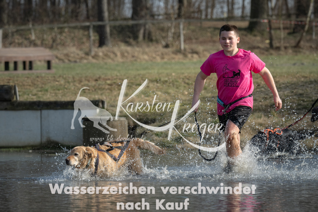 1410_ZZ99987 | kk-dogfotos