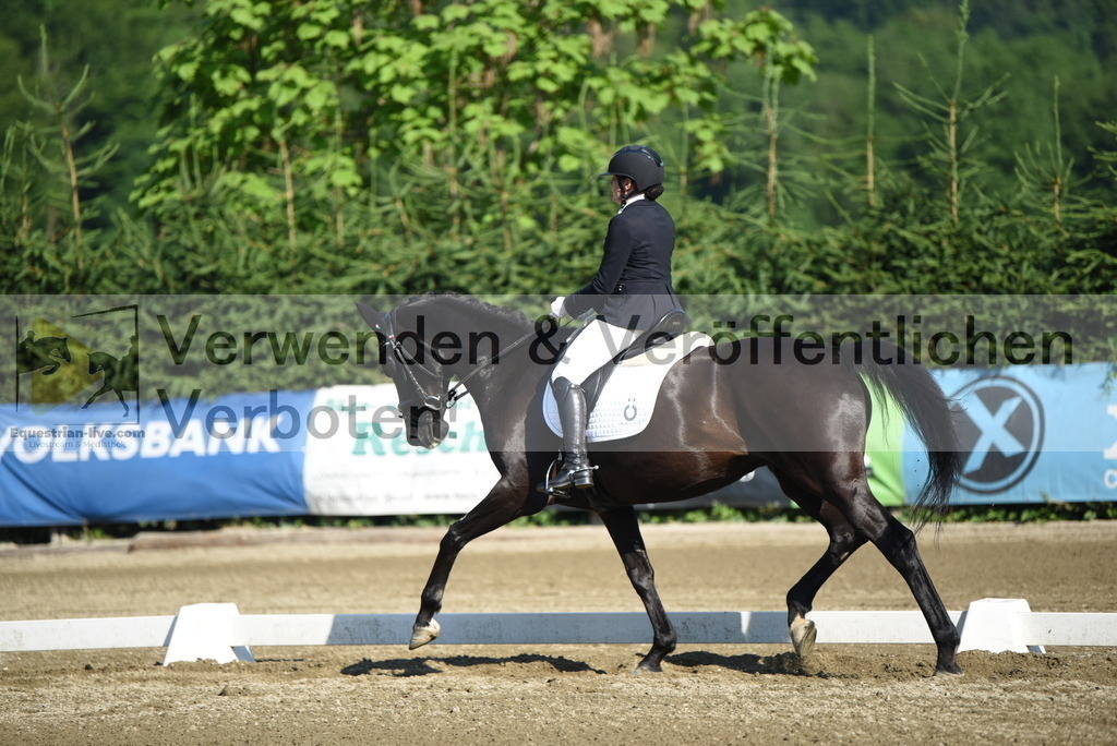 DSC_7065 | equestrian-live-com