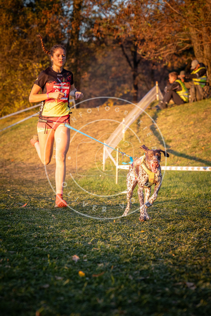 CaniXpix_0L8A1936 | Hundefotografie, Tierfotograf, Pfotenfotografie, Fotoshooting Hund, Hunde Portrait, Hundesport, Hundeportraits, Heideshooting, Hunde, Sportfotograf, Hundefotograf, Turnierhundsport, THS,  - Realisiert mit Pictrs.com
