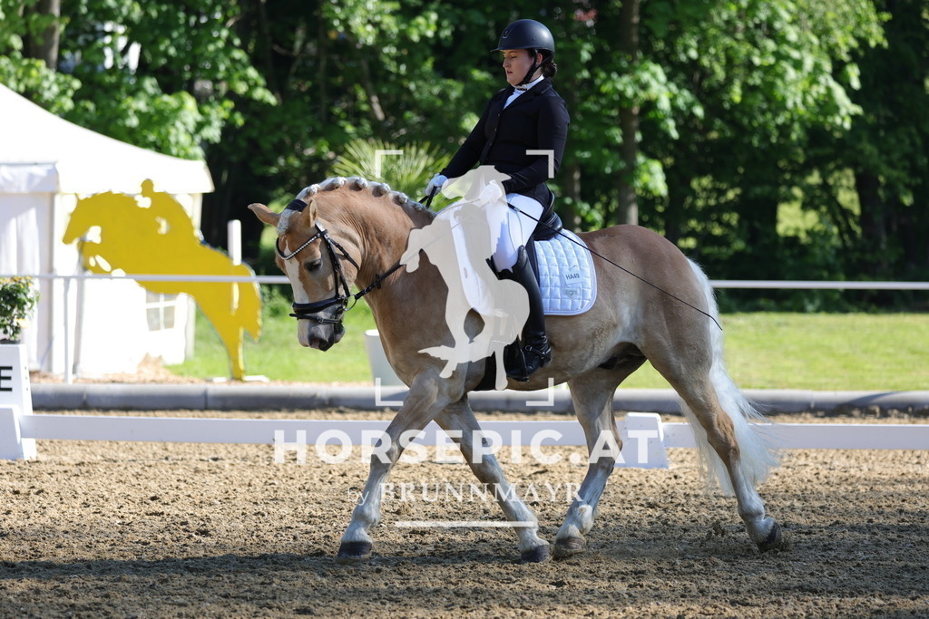 0P6A9351 | Willkommen bei Brunnmayr - Design & Fotografie – Ihrem Spezialisten für Reitturniere und Pferdeveranstaltungen in Oberösterreich, Salzburg und Bayern! Seit über 17 Jahren sind wir leidenschaftlich dabei.