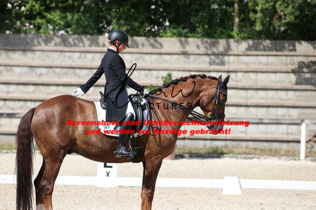 IMG_6879 | lmwpictures - Realisiert mit Pictrs.com