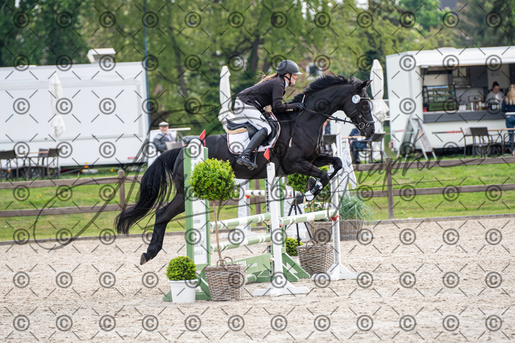 KPT_2041 | andre_photographic