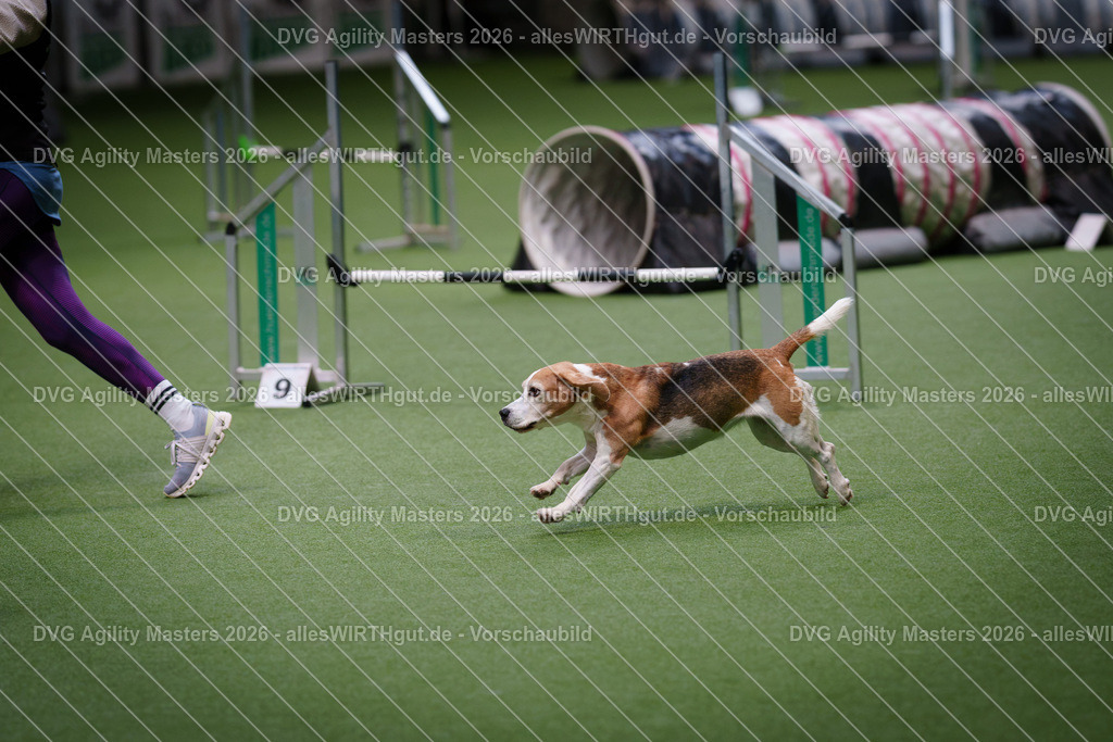 allesWIRTHgut_Tierfotografie-DVG_Agility_Masters_2026-09_19-7R509096 | Professionelle Tierfotografie in Mönchengladbach von Daniel Wirth (allesWIRTHgut). Liebevolle & natürliche Bilder von Hunden & Katzen für unvergessliche Erinnerungen.