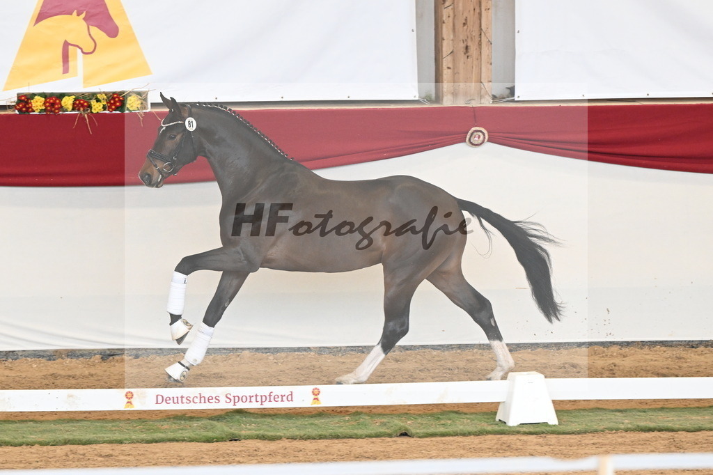 Kat.-Nr. 81 v. Va Bene_Greim_3261148 | hf-fotografie - Realizzato con Pictrs.com