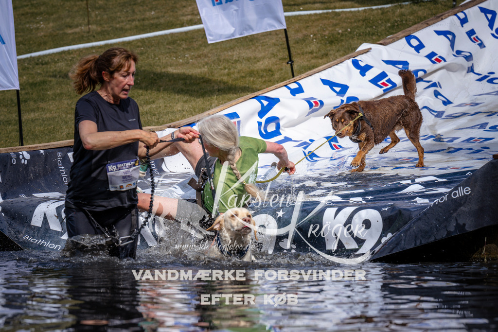 _ZZ906100903 | kk-dogfotos