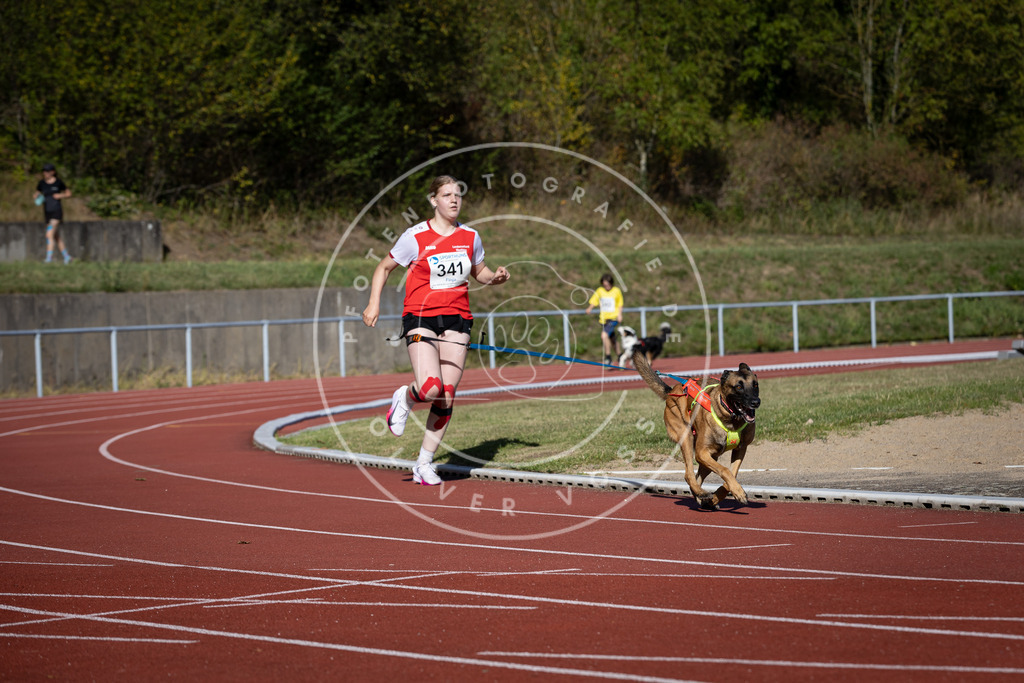 Pfotenfotografie_DV3A8165 | Hundefotografie, Tierfotograf, Pfotenfotografie, Fotoshooting Hund, Hunde Portrait, Hundesport, Hundeportraits, Heideshooting, Hunde, Sportfotograf, Hundefotograf, Turnierhundsport, THS,  - Realisiert mit Pictrs.com