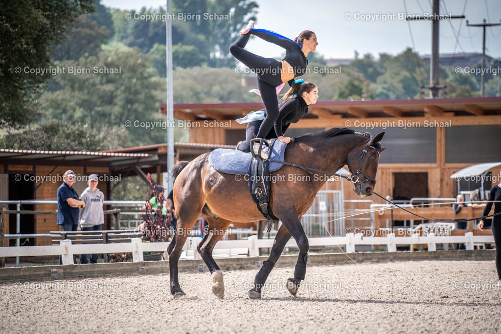 KBB09783 | BS-foto