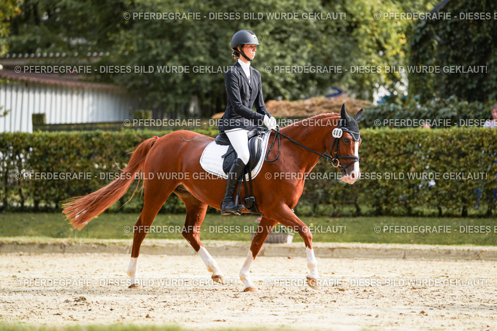 DSC04514 | Pferdegrafie