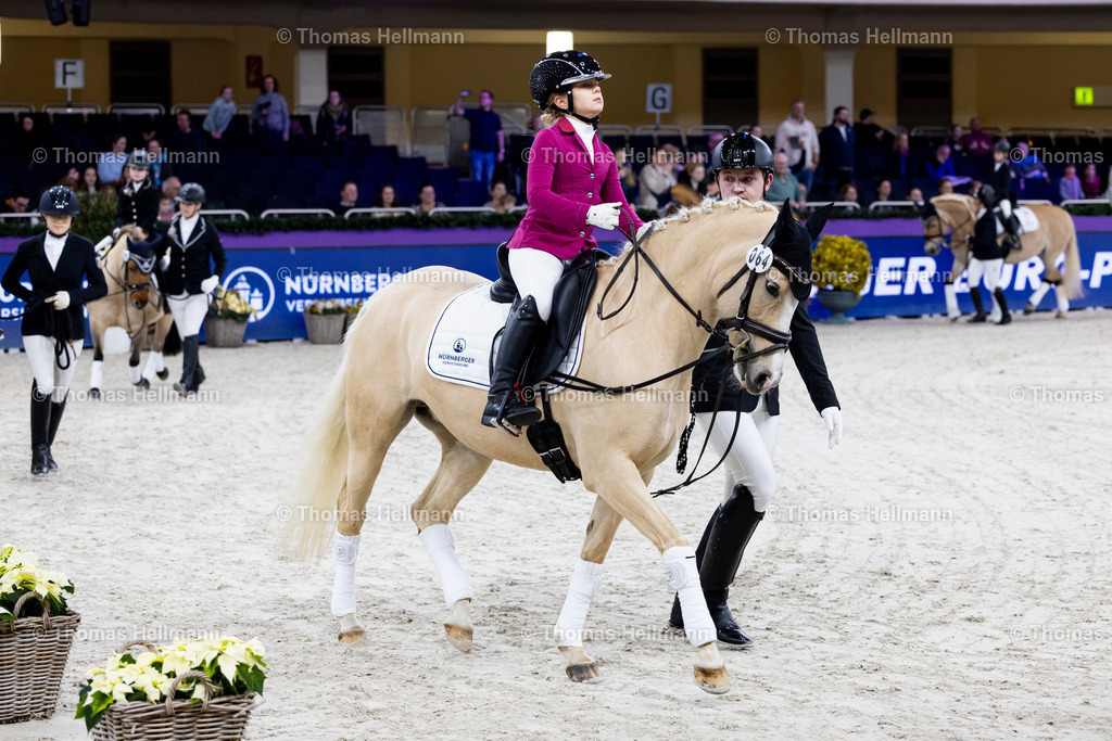 TH_Nürnberger Burgpokal Führzügelwettbewerb_13235 | Nürnberger Burgpokal Führzügelwettbewerb beim Festhallen Reitturnier Frankfurt 2023 am 15.12.23 in Frankfurt, Festhalle