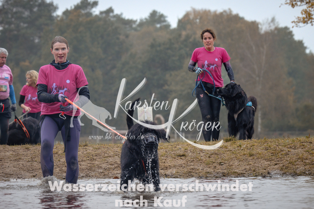 1033_ZZ90217 | kk-dogfotos