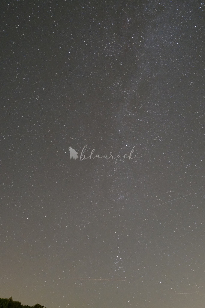 DSCF2444 | Sportbilder, Sportfotograf, Hochzeits- und Eventfotografin, Flugshows, Portraits und Tiershooting, Aviation, Downhill, Nationalleague, Swissleague, International