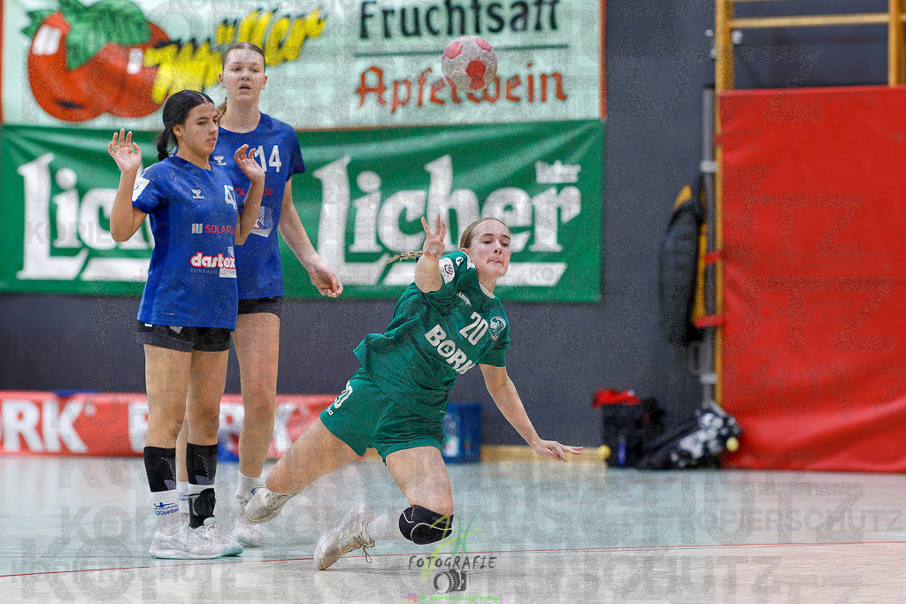 Jugenbundesliga wJB; HSG Kleenheim/Langgöns - SG Kappelwindeck/Steinbach | Jugenbundesliga wJB; HSG Kleenheim/Langgöns - SG Kappelwindeck/Steinbach am 23.11.2025 in Oberkleen (Weidig-Halle)Photo © 2025 - Jörg Heinrich - Realisiert mit Pictrs.com