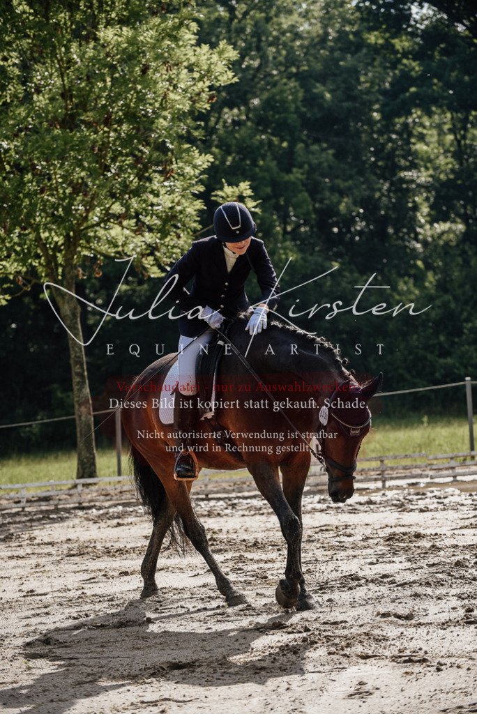 DSC_8827 | Pferde- und Turnierfotografie in Westsachsen. Pferdeportraits, Auftragszeichnungen und intuitive Kunst.