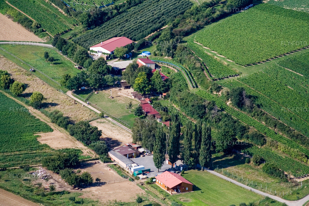 Luftbild: Ranch in Herxheim bei Landau im Bundesland Rheinland-Pfalz in Deutschland. Foto: IMG_12575.jpg vom 17.08.2008 durch Werner Riehm/FLY-FOTO.de