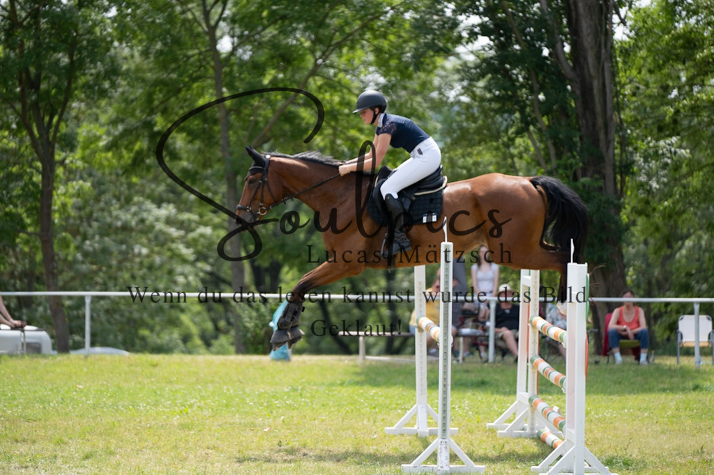 A7V07282 | Pferdefotograf