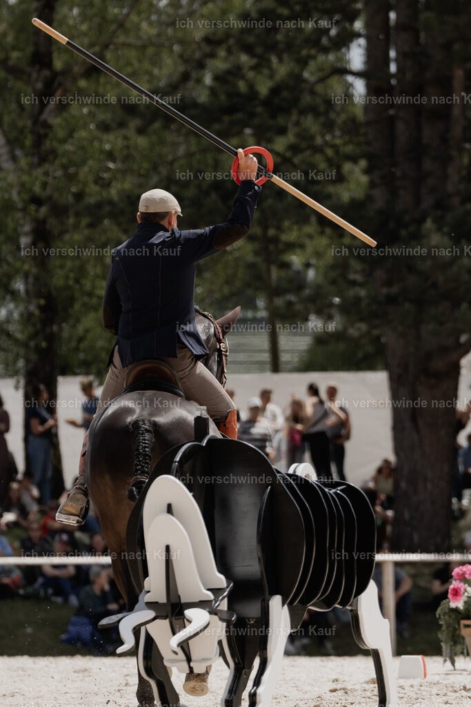 WE_ST_Stoib_320_PI2025_1097 | Pferd International München 2025