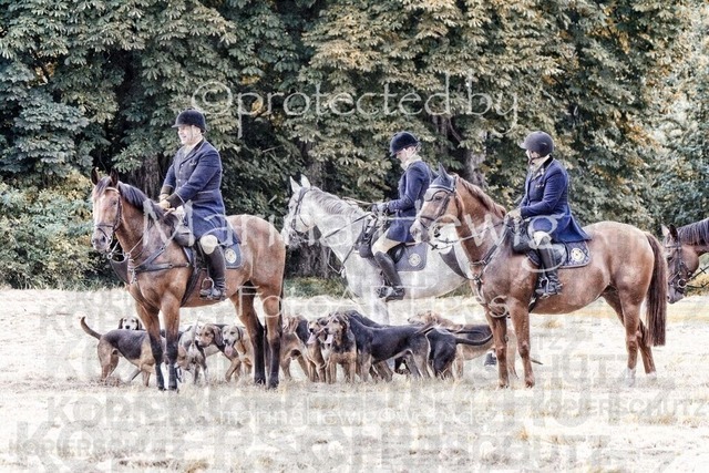 Jagd Wittenberg_MarinaHewig_MCH6768 | Fotografie, FotoArt, PferdesportArt, Pferdesportfotografie, Landschaftsfotografie, Reisefotografie, Reise, Pferde - Realisiert mit Pictrs.com