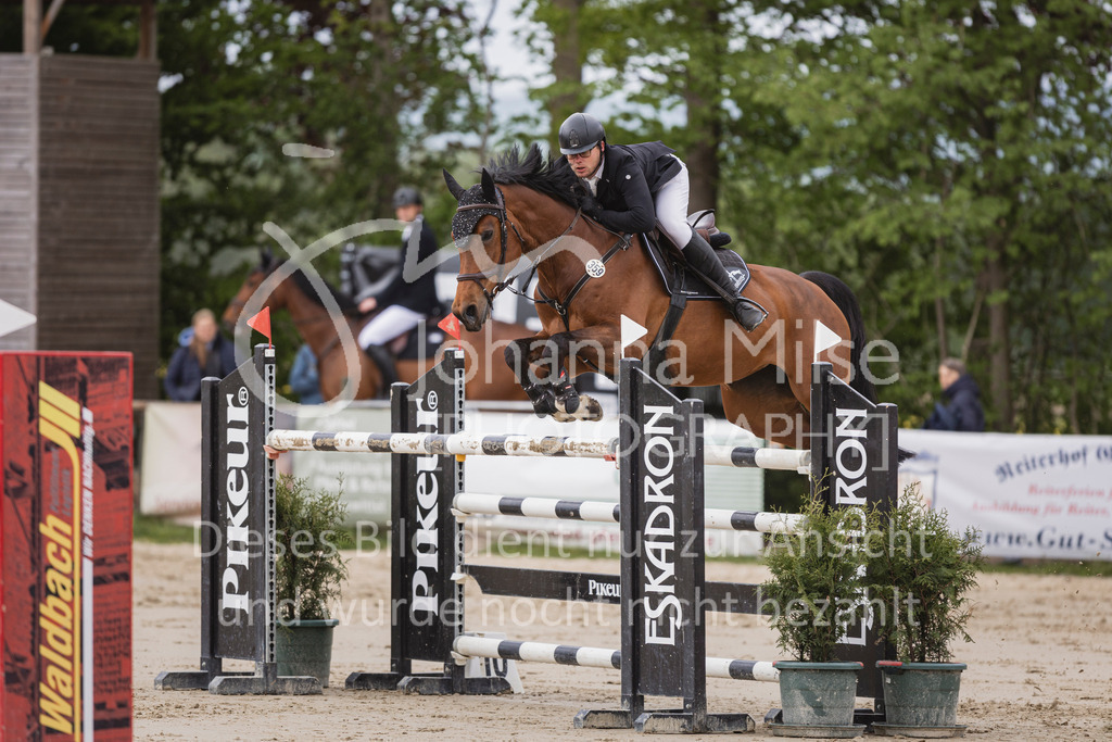 250504_SpengeW_M2-Spr-414 | Deine schönsten Turniermomente als professionelle Fotos! Entdecke hochwertige Pferdesport-Fotografie im Online-Shop. Jetzt Fotos finden & bestellen!