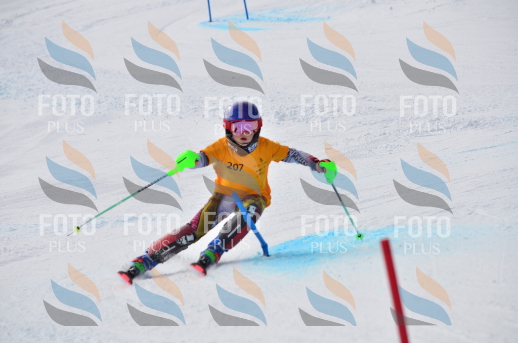 C8155 | holidayphoto