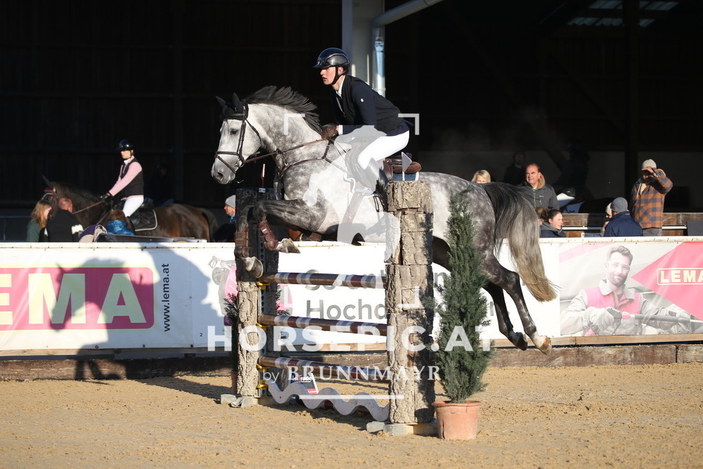 DL2Q0546 | Willkommen bei Brunnmayr - Design & Fotografie – Ihrem Spezialisten für Reitturniere und Pferdeveranstaltungen in Oberösterreich, Salzburg und Bayern! Seit über 17 Jahren sind wir leidenschaftlich dabei.